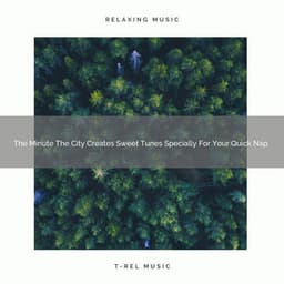 The Minute The City Creates Sweet Tunes Specially For Your Quick Nap - Deep Rain Sampling