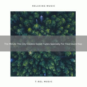 The Minute The City Creates Sweet Tunes Specially For Your Quick Nap - Deep Rain Sampling