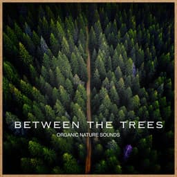 Between the Trees - Organic Nature Sounds