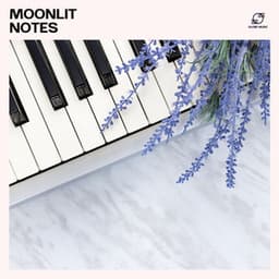 Moonlit Notes: Calm Piano Instrumentals - Relaxing Piano Music