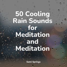 50 Cooling Rain Sounds for Meditation and Meditation - Lush Rain Creators
