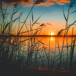 50 Ambient Songs for Relaxation & Vibes - Meditation Rain Sounds