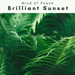 1 0 1 Brilliant Sunset - Mind of Peace