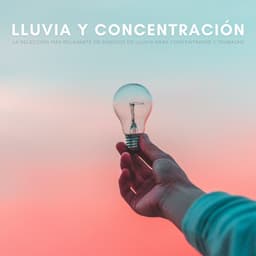 Lluvia Y Concentración: La Selección Más Relajante De Sonidos De Lluvia Para Concentrarse Y Trabajar - Som Da Natureza