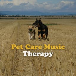 Pet Care Music Therapy - Dog Music Therapy