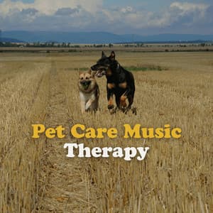 Pet Care Music Therapy - Dog Music Therapy