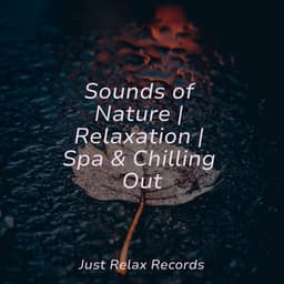 Sounds of Nature | Relaxation | Spa & Chilling Out - Lullaby Land