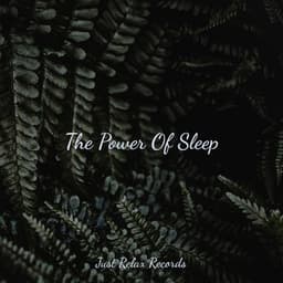 The Power Of Sleep - Calm Music for Studying