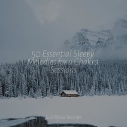 50 Essential Sleepy Melodies for a Chakra Sessions - Naturaleza Sonidos