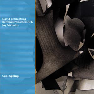 Cool Spring - David Rothenberg