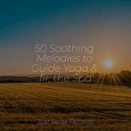 50 Soothing Melodies to Guide Yoga & fir, the Spa - Deep Sleep Relaxation