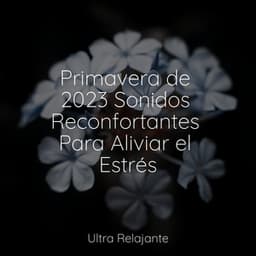 Primavera de 2023 Sonidos Reconfortantes Para Aliviar el Estrés - Musica para Dormir Dream House