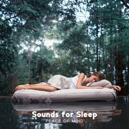 Sounds for Sleep: Peace of Mind, Natural Baby Sleep, Soft Sound, Water & Rain, Sound of Silence - Música Mágica para Bebês de Sono