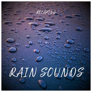Relaxing Rain Sounds - Som de Chuva e Trovões