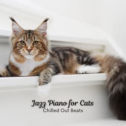 Jazz Piano for Cats: Chilled Out Beats - Jazz Music Cafe