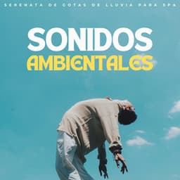 Sonidos Ambientales: Serenata De Gotas De Lluvia Para Spa - Habitos Saludables