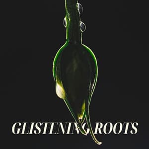 Glistening Roots: Drops of Renewal - Mental Healing Consort