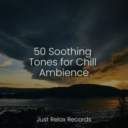 50 Soothing Tones for Chill Ambience - Sleep Baby Sleep