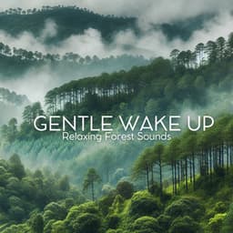 Gentle Wake Up: Relaxing Forest Sounds - Relaxation Music Guru