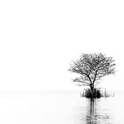 Ambient Music Healing - Music Healer