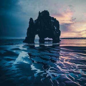 12th Hour: Gentle Days - White Noise