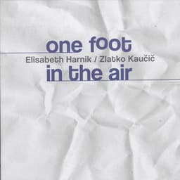 One Foot in the Air - Elisabeth Harnik