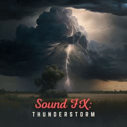 Sound Fx: Thunderstorm - Sound FX Pro