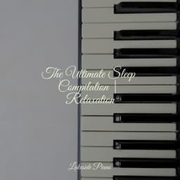 The Ultimate Sleep Compilation | Relaxation - Sonidos de la Naturaleza Relajacion