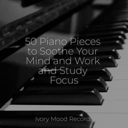 50 Piano Pieces to Soothe Your Mind and Work and Study Focus - Relaxing Music