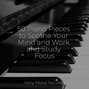 50 Piano Pieces to Soothe Your Mind and Work and Study Focus - Ivory Mood