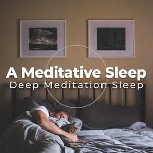 A Meditative Sleep - Deep Meditation Sleep