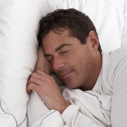 Forest Dreams: Insects and Ambient Harmony for a Peaceful Sleep - Sleep Crickets