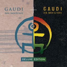 Bass, Sweat & Tears - Gaudi