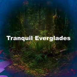 Tranquil Everglades - Pure Nature Noises