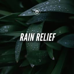 Rain Relief - Sounds Of Nature