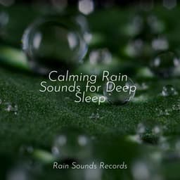 Calming Rain Sounds for Deep Sleep - Relaxed Minds