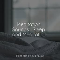 Meditation Sounds | Sleep and Meditation - Serenity Spa Music Relaxation
