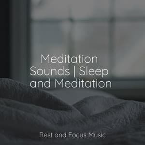 Meditation Sounds | Sleep and Meditation - Serenity Spa Music Relaxation