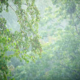 Shower Serenity: Meditative Rain Symphony's Peace - Relaxing Meditation Songs Divine