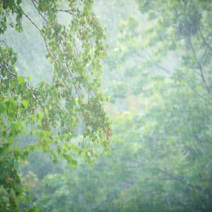 Shower Serenity: Meditative Rain Symphony's Peace - Relaxing Meditation Songs Divine