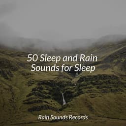 50 Sleep and Rain Sounds for Sleep - Guided Meditation