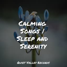 Calming Songs | Sleep and Serenity - Rain Sounds Factory STHLM