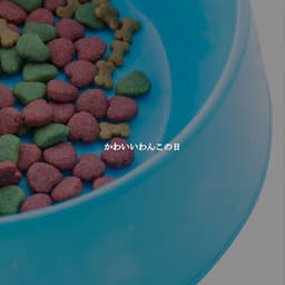 かわいいわんこの日 - Cafe Music Japan