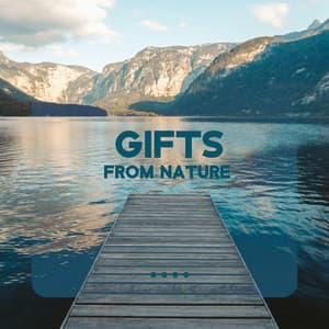 Gifts from Nature: Water Sounds for Sleep, Gentle Rain for Mind Ease, State of Deep Relaxation - Relaxing Nature Sounds Collection