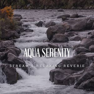 Aqua Serenity: Stream's Relaxing Reverie - Waterfall in the distance
