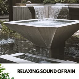 Relaxing Sound of Rain: A Symphony of Showers - Cat Music Therapy