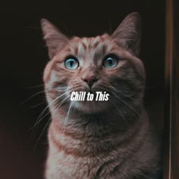 Chill to This - Chill Lounge Vibes