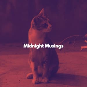 Midnight Musings - Música para dormir Gatos