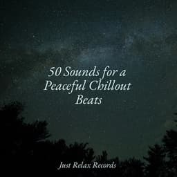 50 Sounds for a Peaceful Chillout Beats - Happy Baby Lullaby Collection