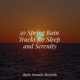 50 Spring Rain Tracks for Sleep and Serenity - Weather Factory